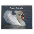 Search for swan calendars Waterfowl