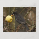 Search for yellow snow postcards Bird