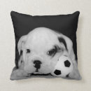 Search for english bulldog cushions Puppy
