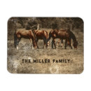 Search for horse magnets Country