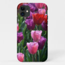 Search for tulip pictures cases Nature