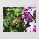 Search for pollen postcards Wings