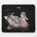Search for mallard mouse mats Female