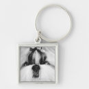 Search for bow square key rings Dog