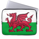 Search for wale electronics Flag of wales