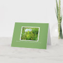 Search for annes cards Queen annes lace