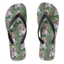 Search for rabbit flipflops Dog