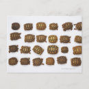 Search for tortoise shell postcards Cold blooded