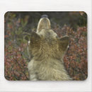 Search for wolf pack mouse mats Canine