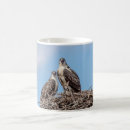 Search for osprey mugs Nature
