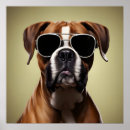 Search for boxer dog posters Cute