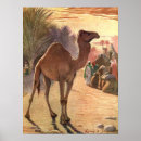 Search for camelopardalis posters Africa