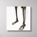 Search for three dimensional canvas prints Close up