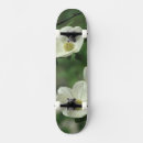 Search for environment skateboards Usa