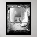 Search for reptile posters Turtles