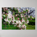 Search for beautiful easter posters Nature