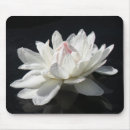 Search for white lily mouse mats Nature