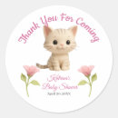 Search for purr stickers Kitten