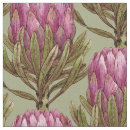 Search for protea fabric Leaves