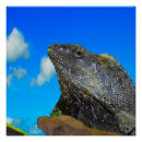 Search for no frills posters Reptile