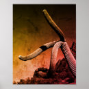Search for pipe organ posters Saguaro