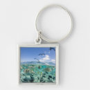 Search for stingrays key rings Nature