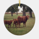 Search for calf christmas tree decorations Pasture