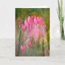 Search for bleeding cards Pink bleeding hearts