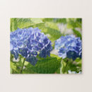 Search for hydrangea puzzles Purple