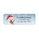 Search for maltese return address labels White