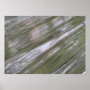Search for streaks posters Green