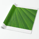 Search for palm leaf wrapping paper Leaves