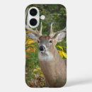 Search for bucks iphone cases Hunter