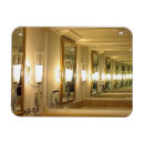 Search for mirrored magnets Mirrors