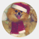 Search for pomeranian stickers Santa