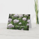 Search for pretty birthday cards Purple