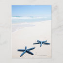 Search for the edge postcards Animal