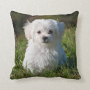 Search for fluffy dog cushions Poodle