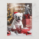 Search for whisker postcards Snow