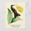 Search for giant flower postcards Floral