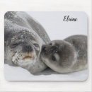 Search for seals electronics Seal pup