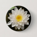 Search for waterlily badges Waterlilies