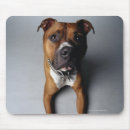 Search for pit bull mouse mats Dog