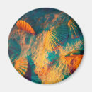 Search for shell pictures magnets Seashell