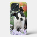 Search for bull dog iphone cases Funny