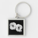 Search for thorns key rings Nature