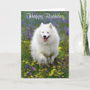 Search for eskimo cards Puppy
