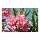 Search for oleander posters Beautiful