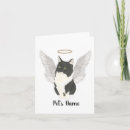 Search for cat sympathy cards Bereavement