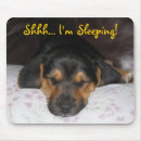 Search for dog sleeping mouse mats Photography
